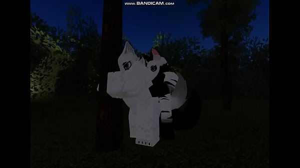 two furries fucks in the forest