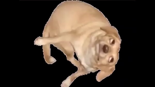 V&iacute_deo de verifica&ccedil_&atilde_o