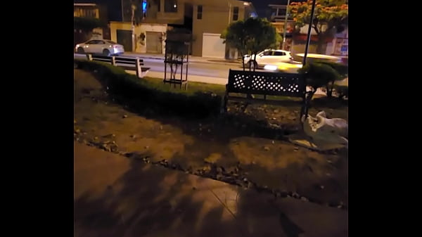 Public Sex. She Sucks My Cock On Street. Anal On Air. Part 1/2. . thumbnail