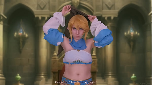 Legend of Zelda: Link's Continued Humiliation