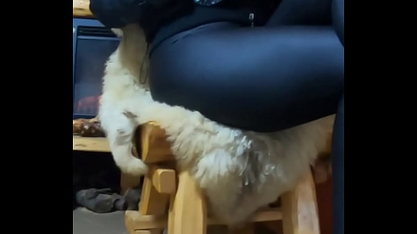 After We Smoke A Cigarette We Must Have Some Real Action!#milf, #pov, #latina, #bigass , #romance, #joi, #fetish thumbnail