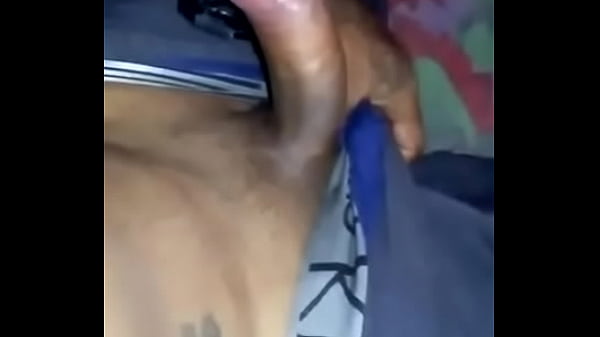 Veneco