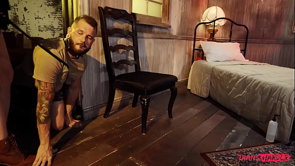 Unleashed / Transangels thumbnail