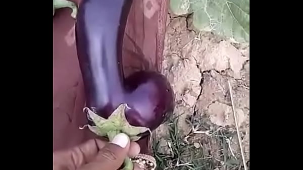 WTF