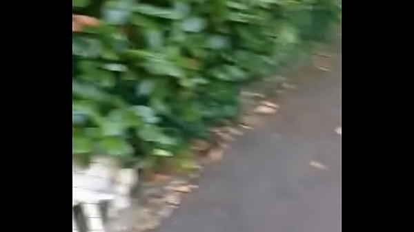 Video de v&eacute_rification