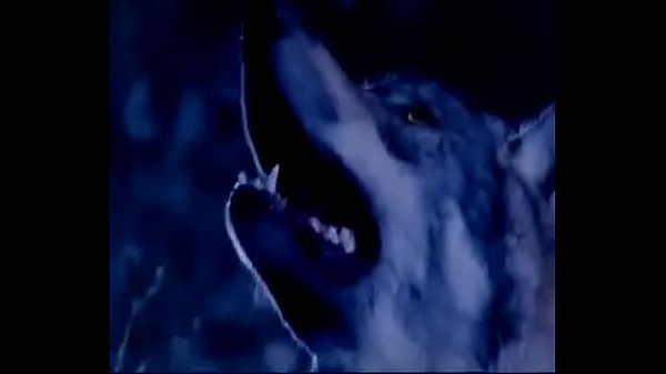 Nonton ฉากหนังอาร์ ไมนอล เทวดาก๊องบ๊องๆ บวมๆ thumbnail