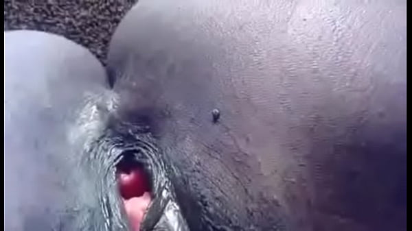 trim.56B2CDE5-4C79-41C5-AC0D-E9CB57F4BC77.MOV