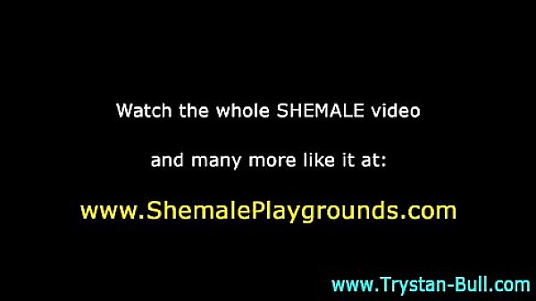 Trystan Bull Cock Fun thumbnail