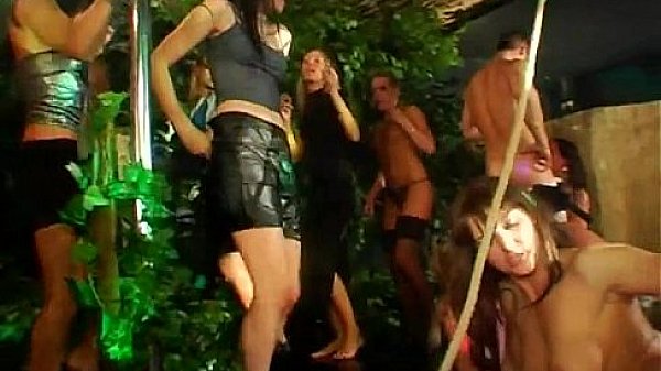 Wild And Raucous Pole Party thumbnail