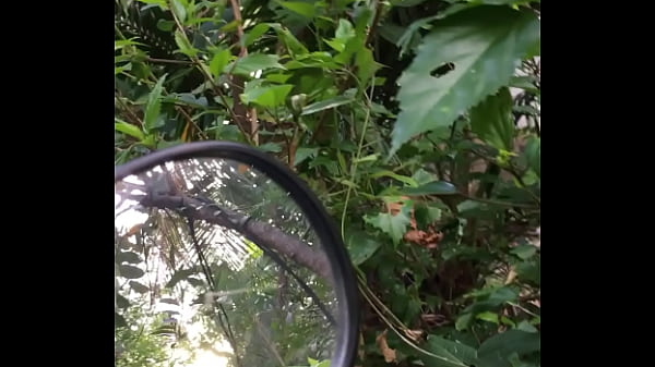 Quay L&eacute;n thumbnail