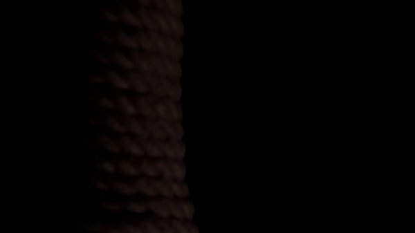 Bonds of love by bondage erotique 