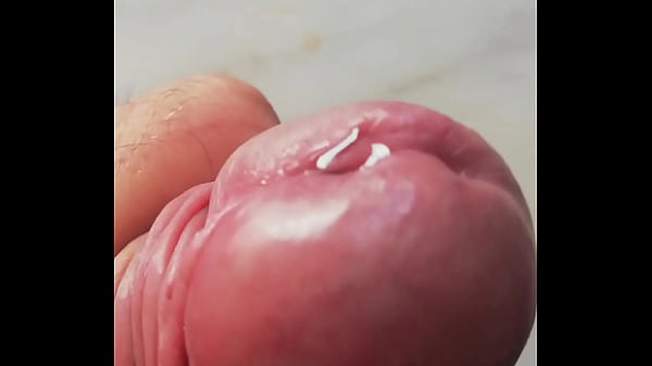 Para que beban mis perritas