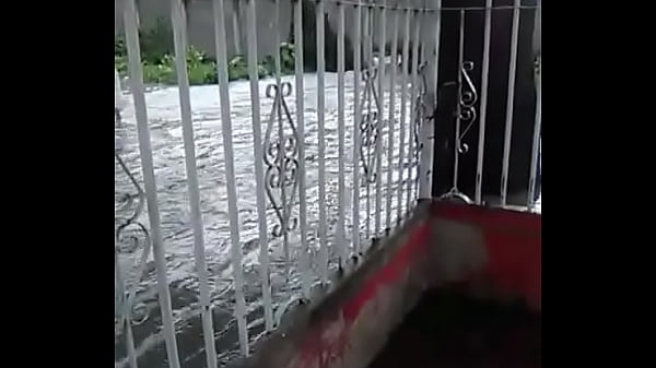 V&iacute_deo de verificaci&oacute_n