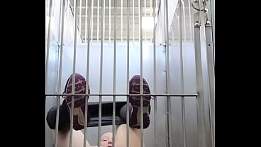 Wazaboo4u - update #1 - Kennel - Aug 18, 2026