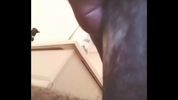 VID 20140224 094042