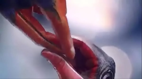 Vid-20170418-wa0002 thumbnail