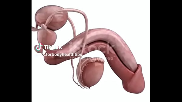 Nonton Verification Video thumbnail