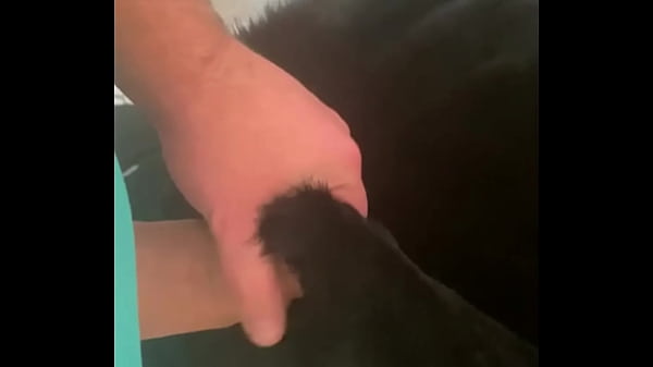 Adventures Of Milfycalla Ep 21 A Slut Was Traped thumbnail