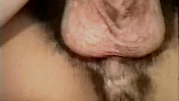 Nonton Vintage Interracial Erotica 1970s - Brown Sugar thumbnail