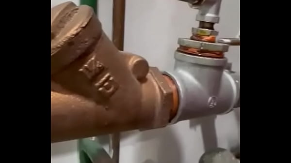 V&iacute_deo de verificaci&oacute_n