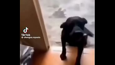 V&iacute;deo De Verificaci&oacute;n thumbnail