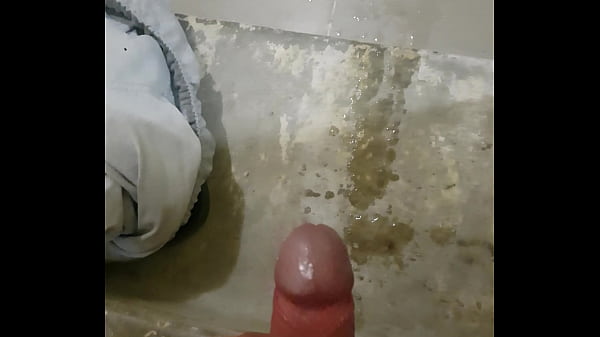 Pis