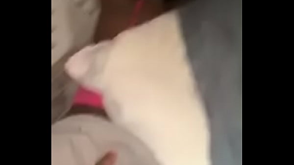 Ass clapping ebony