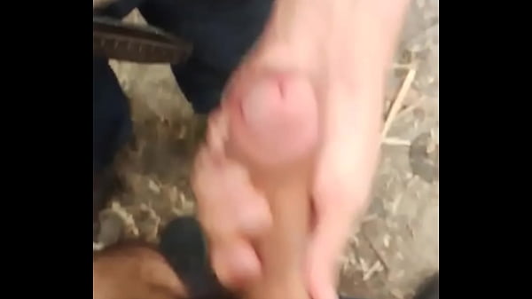 Mao Amiga - Update #329 (2024-07-13t02:01:08.000z) thumbnail