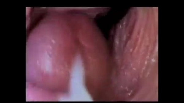 xvideos.com 7d03030e8a06e4070e598b69f379a6df