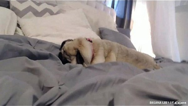 Nonton Briana Lee Member Show June 18th 2015 thumbnail