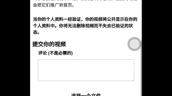 验证视频
