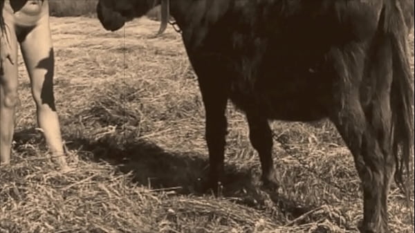 'beauty & the beast' my secret life 