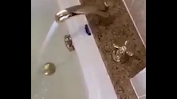 Sexy Hot Compilation&masturbation&dance&modeling-teen Luxury Amateur-arabian Snowwhite Los Angeles-usa thumbnail