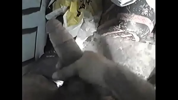 Nonton Ppgfhgfhdgf thumbnail