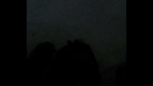 V&iacute_deo de verificaci&oacute_n