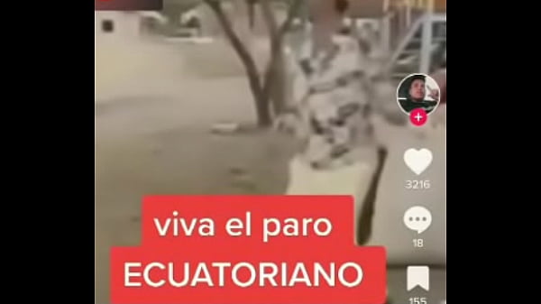 V&iacute_deo de verificaci&oacute_n