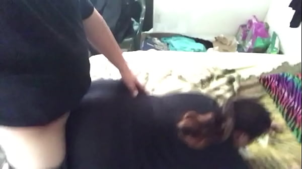 Nonton Gfs Ass thumbnail