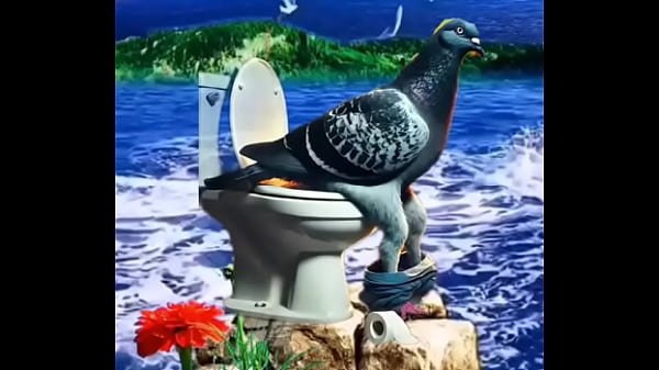 pombo