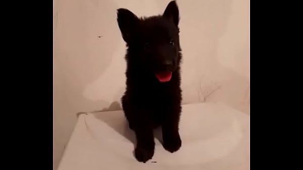 V&iacute_deo de verificaci&oacute_n