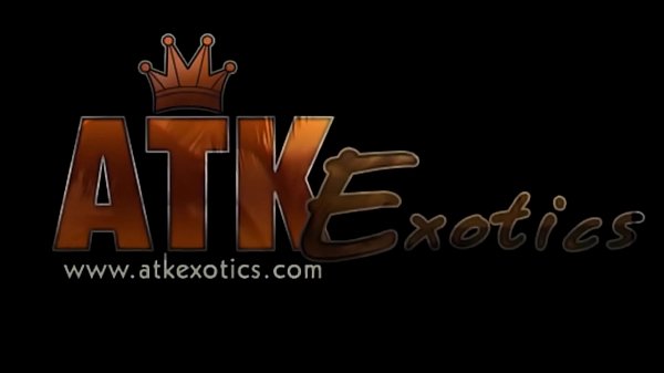 Nonton She's A Small Package Of Sexual Desire thumbnail