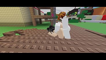 IDN | ROBLOX