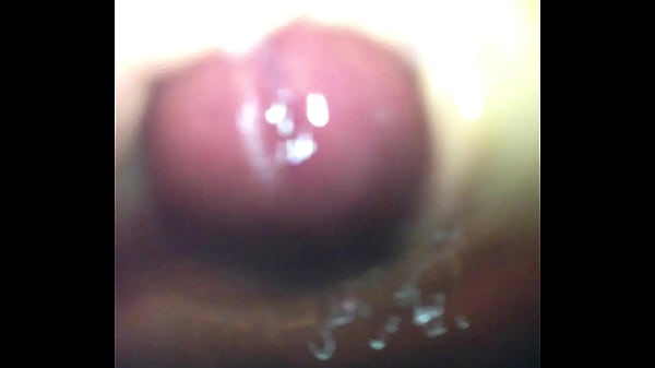 Img 1463.mov thumbnail