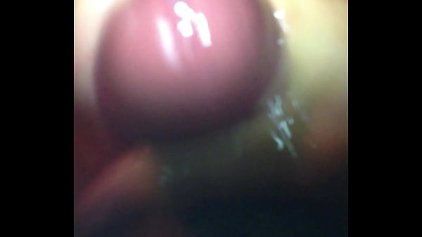 IMG 1463.MOV