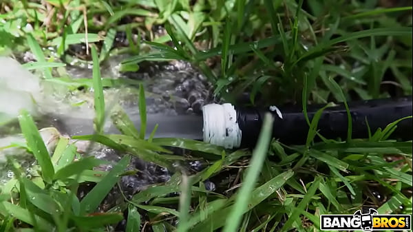 Play MP4 - The Hose Knows