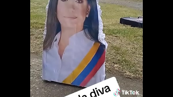 V&iacute_deo de verificaci&oacute_n