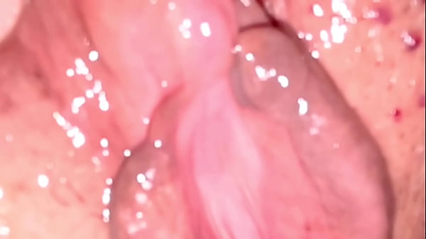 Yukimori & Nanami's Fun Sex Diary. thumbnail