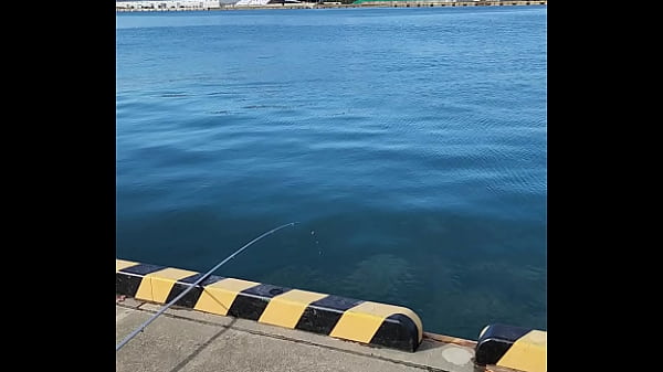 認証動画