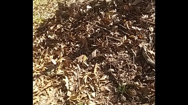 Nonton Detailed Fantasy Description thumbnail