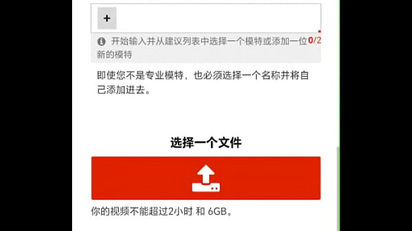 验证视频