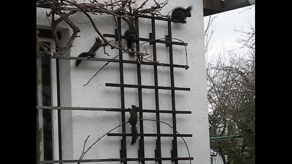 Nonton In Public thumbnail